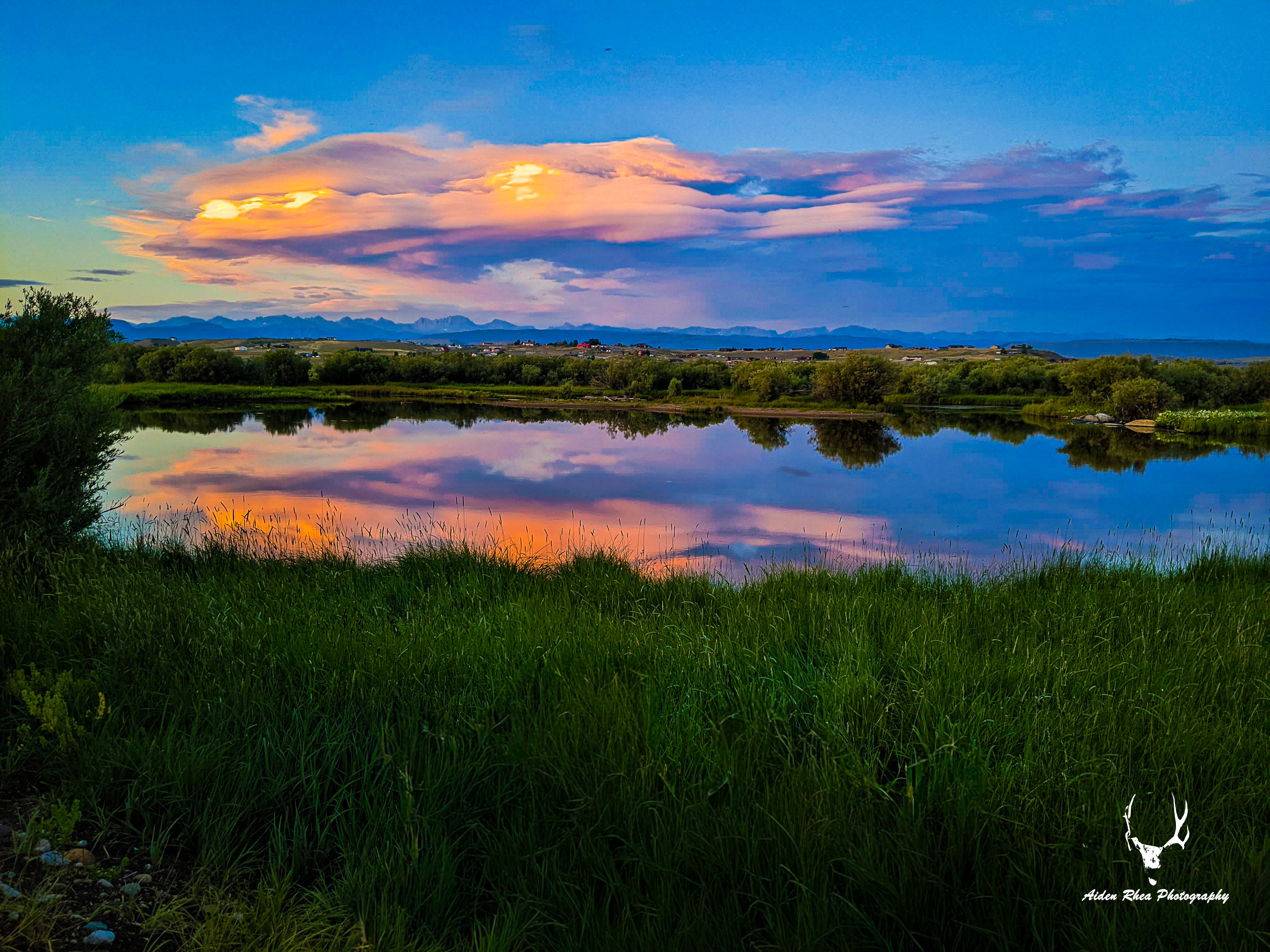 Summer reflections