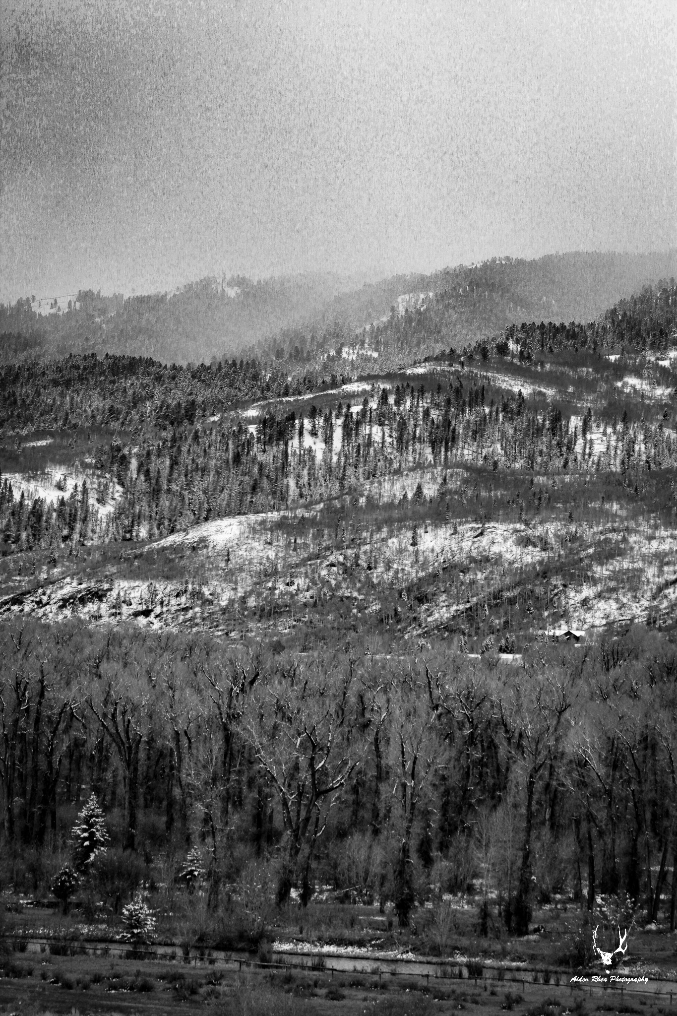 Old school winter