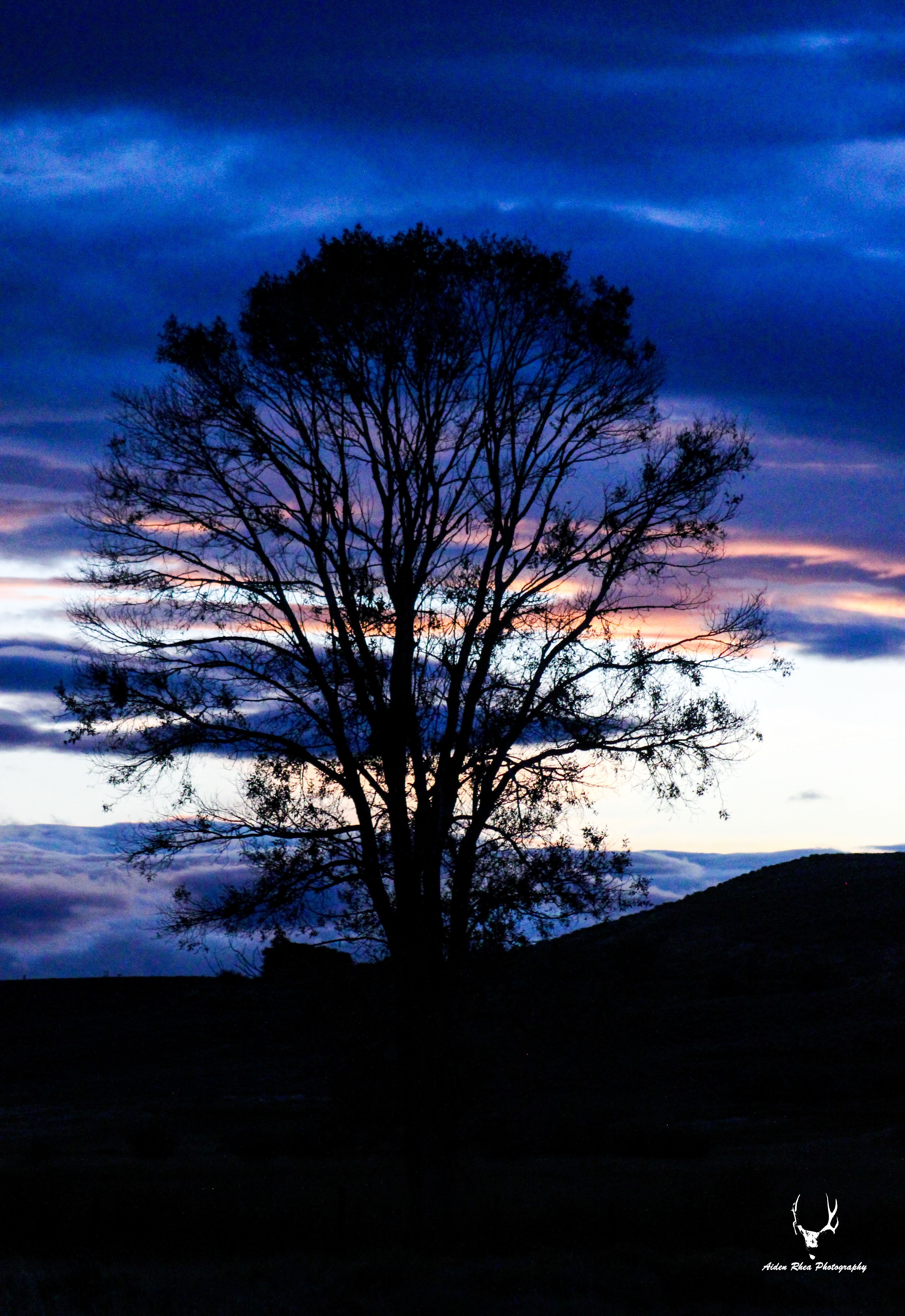 Silhouette