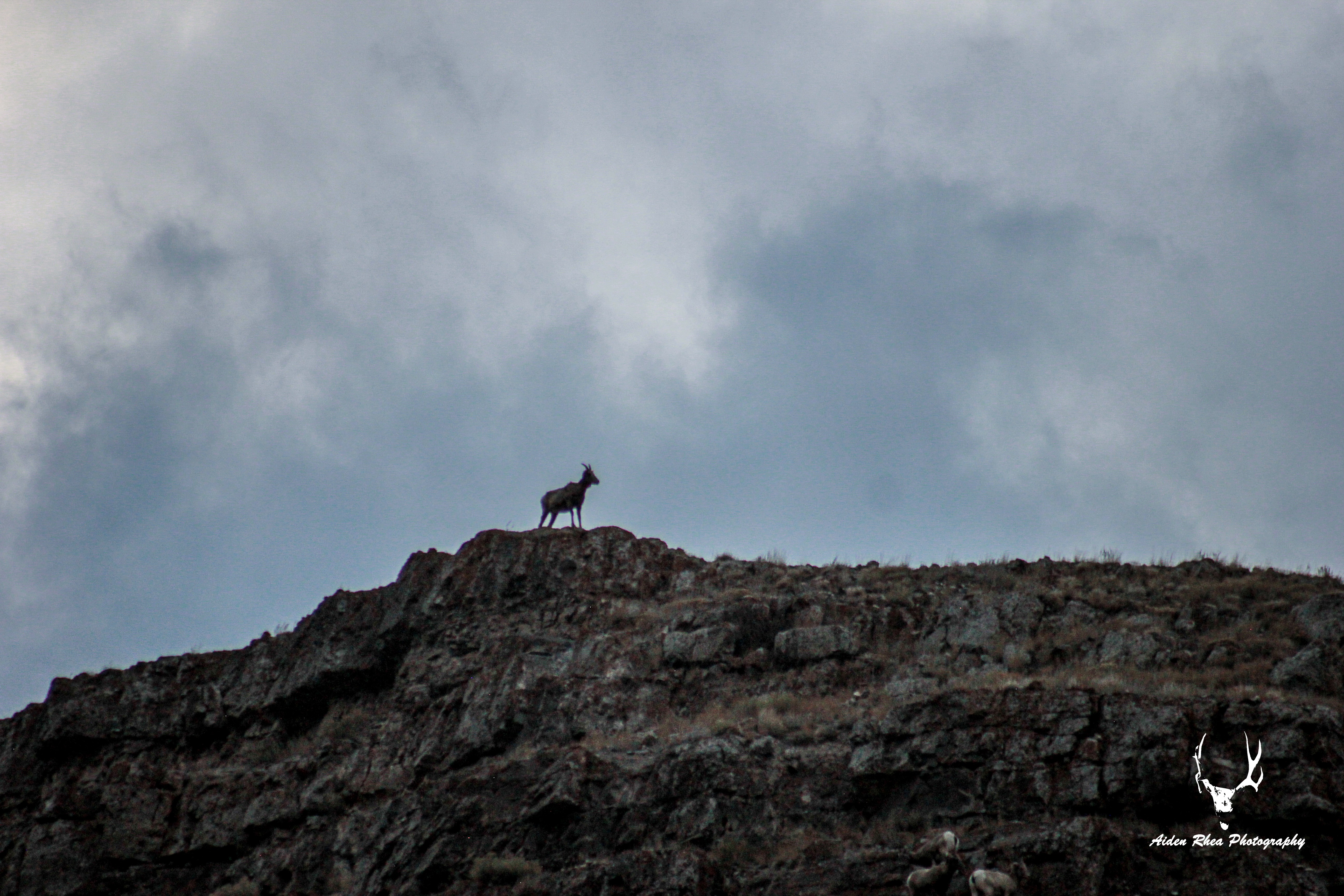 Sheep mountain 2