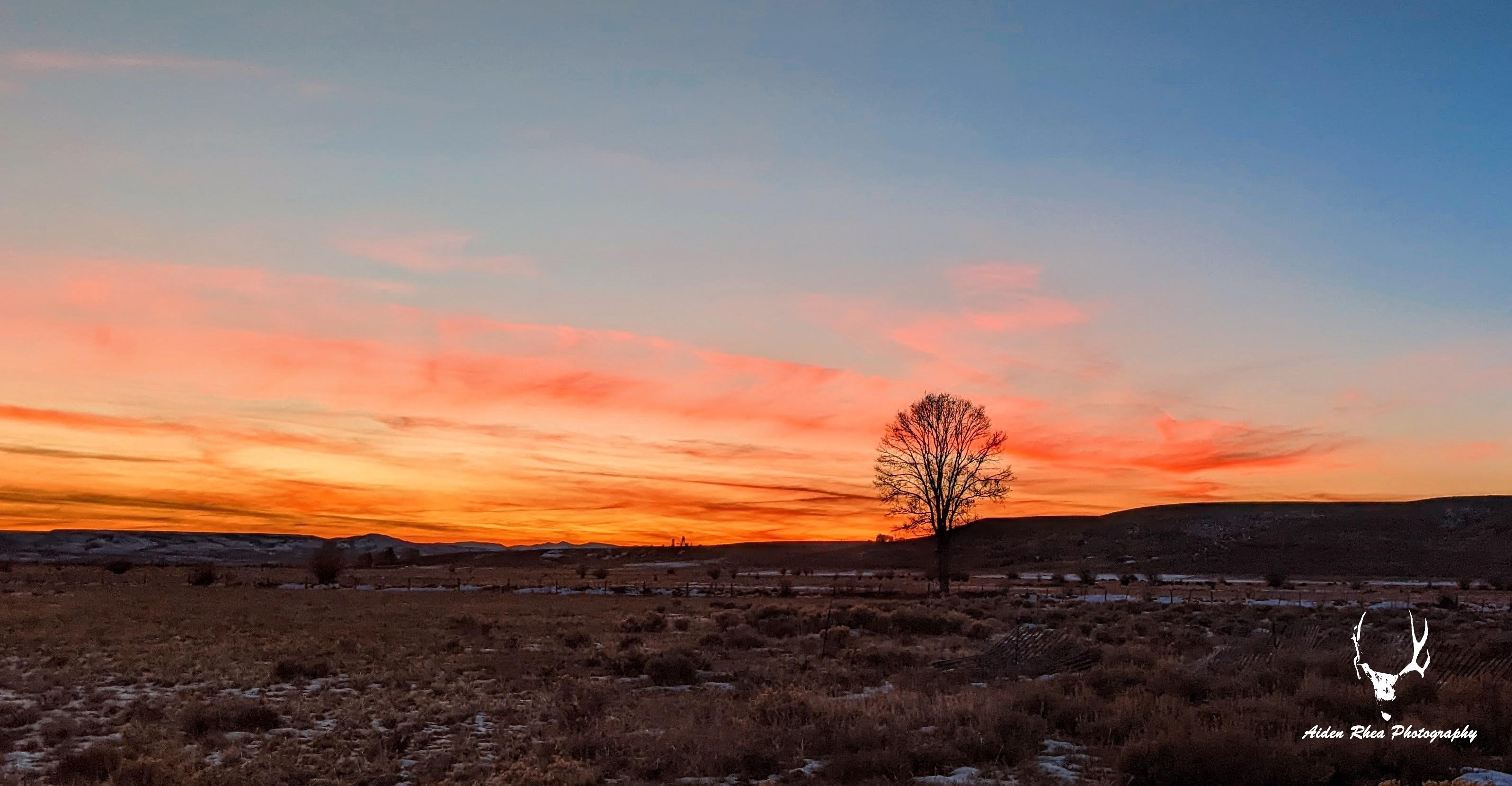 Wyoming Sky 8