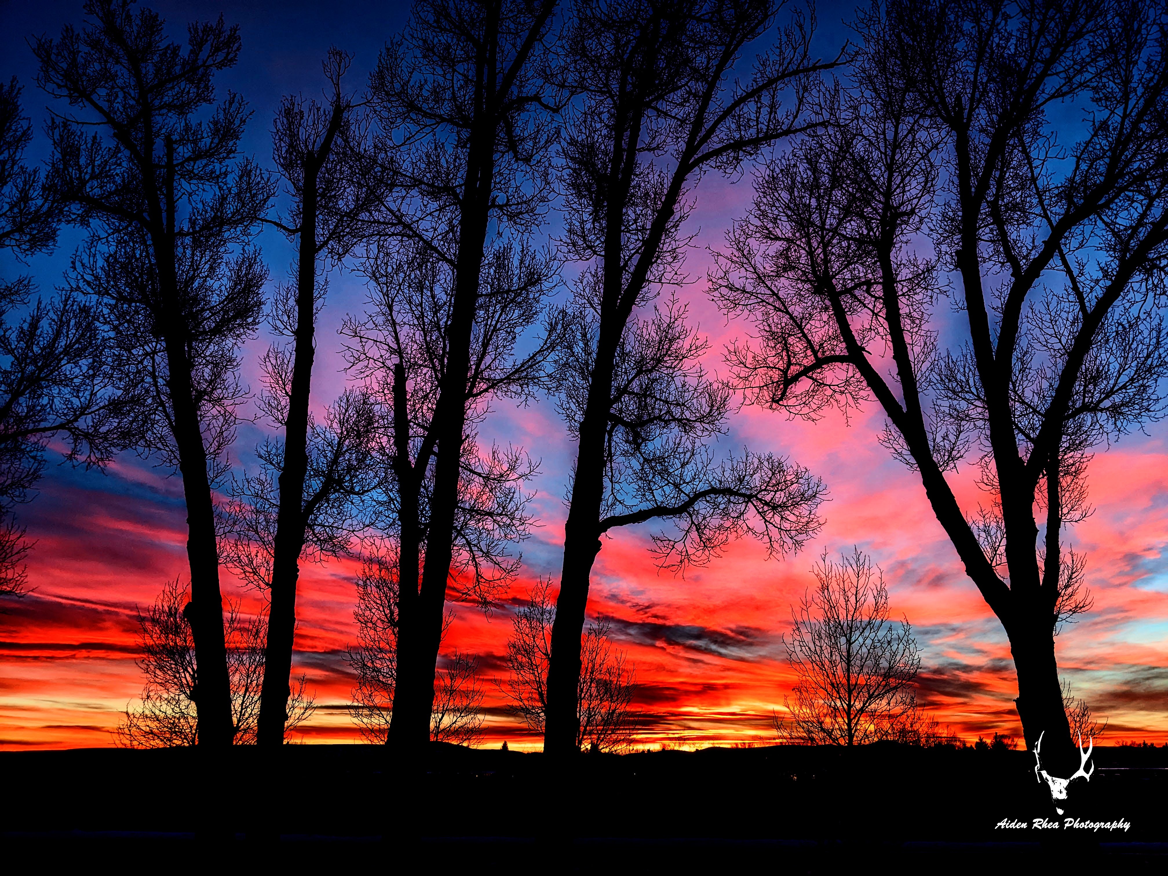 Painted sky