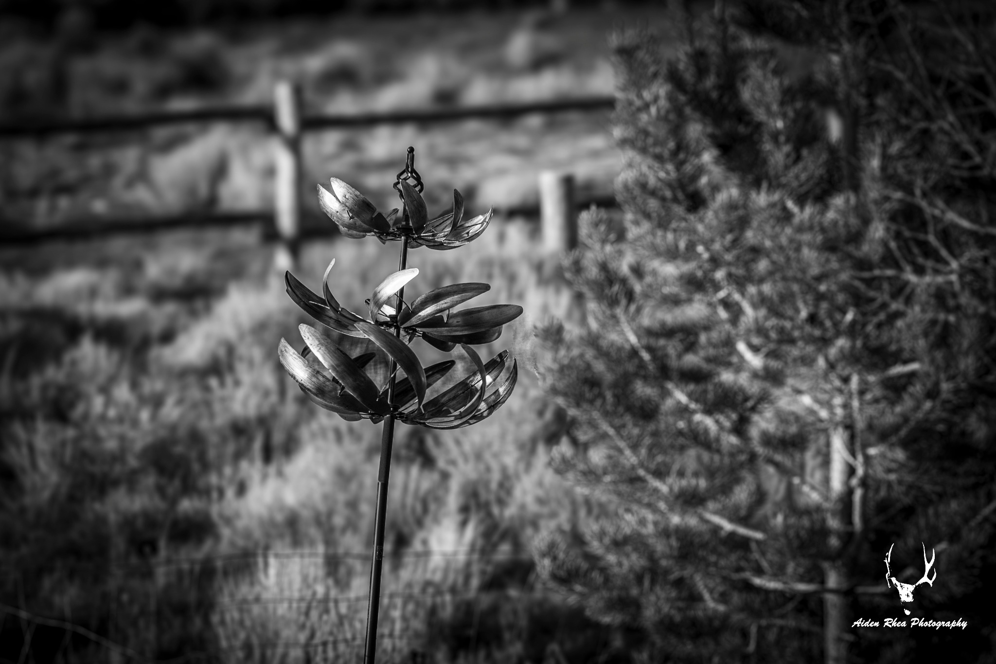 Iron flower
