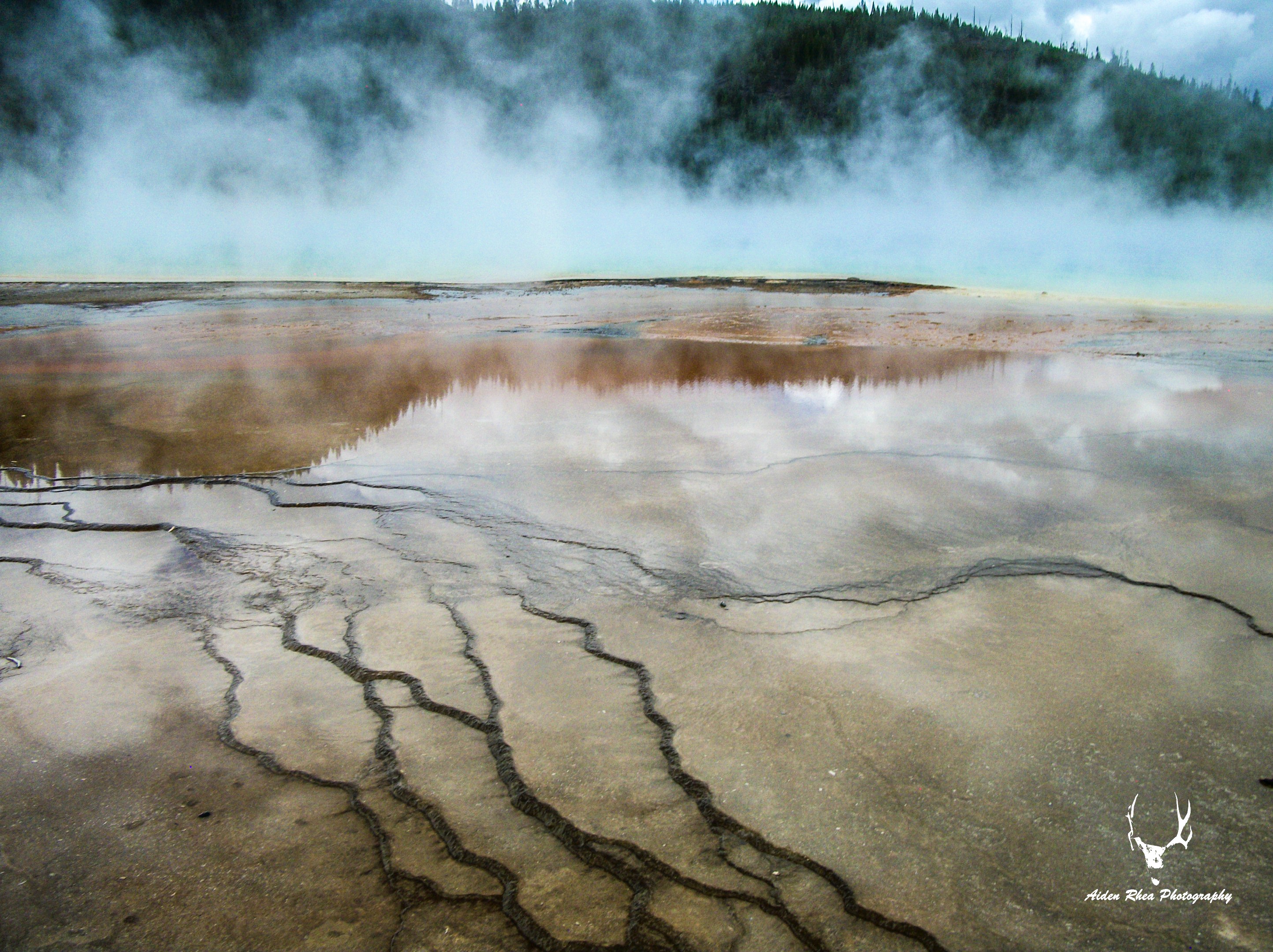 Glass & Steam