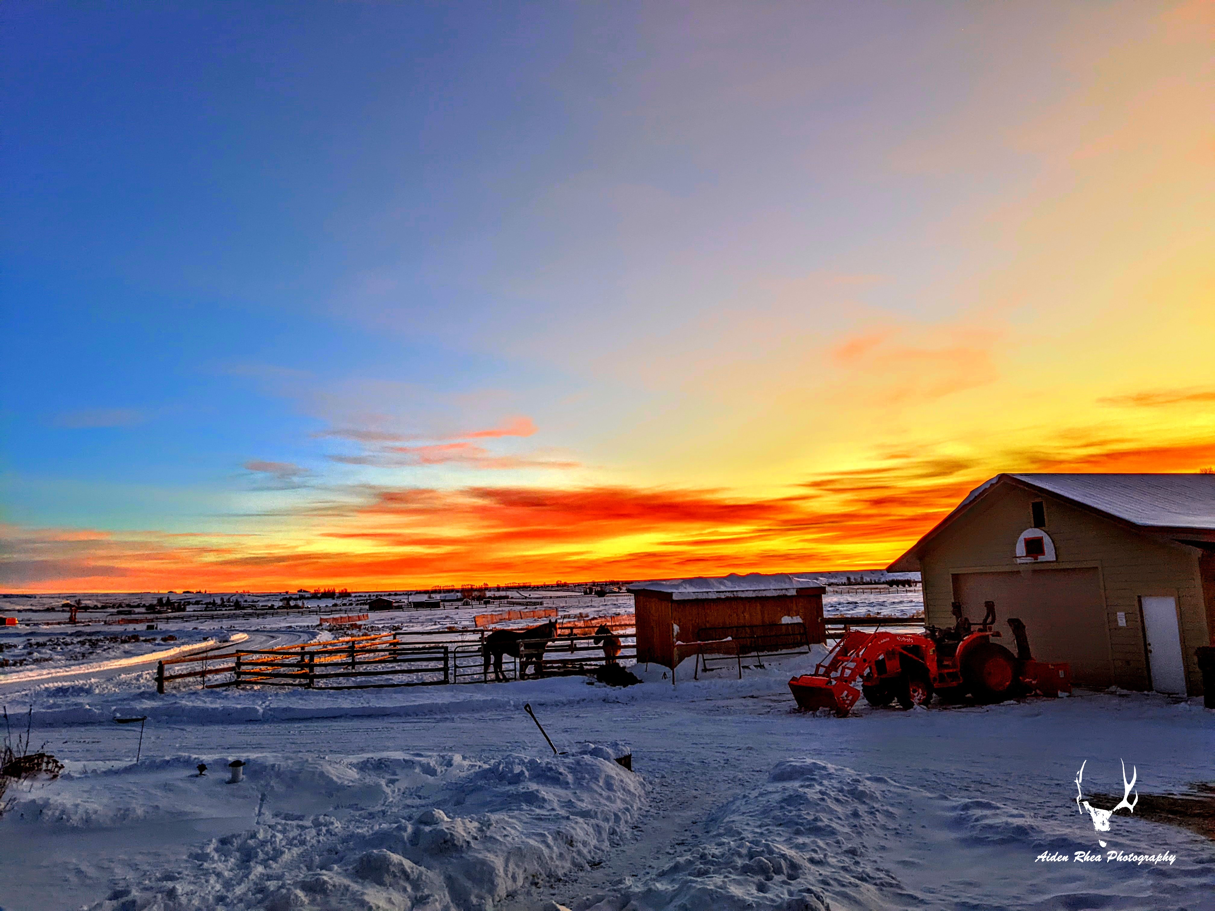 Wyoming winter