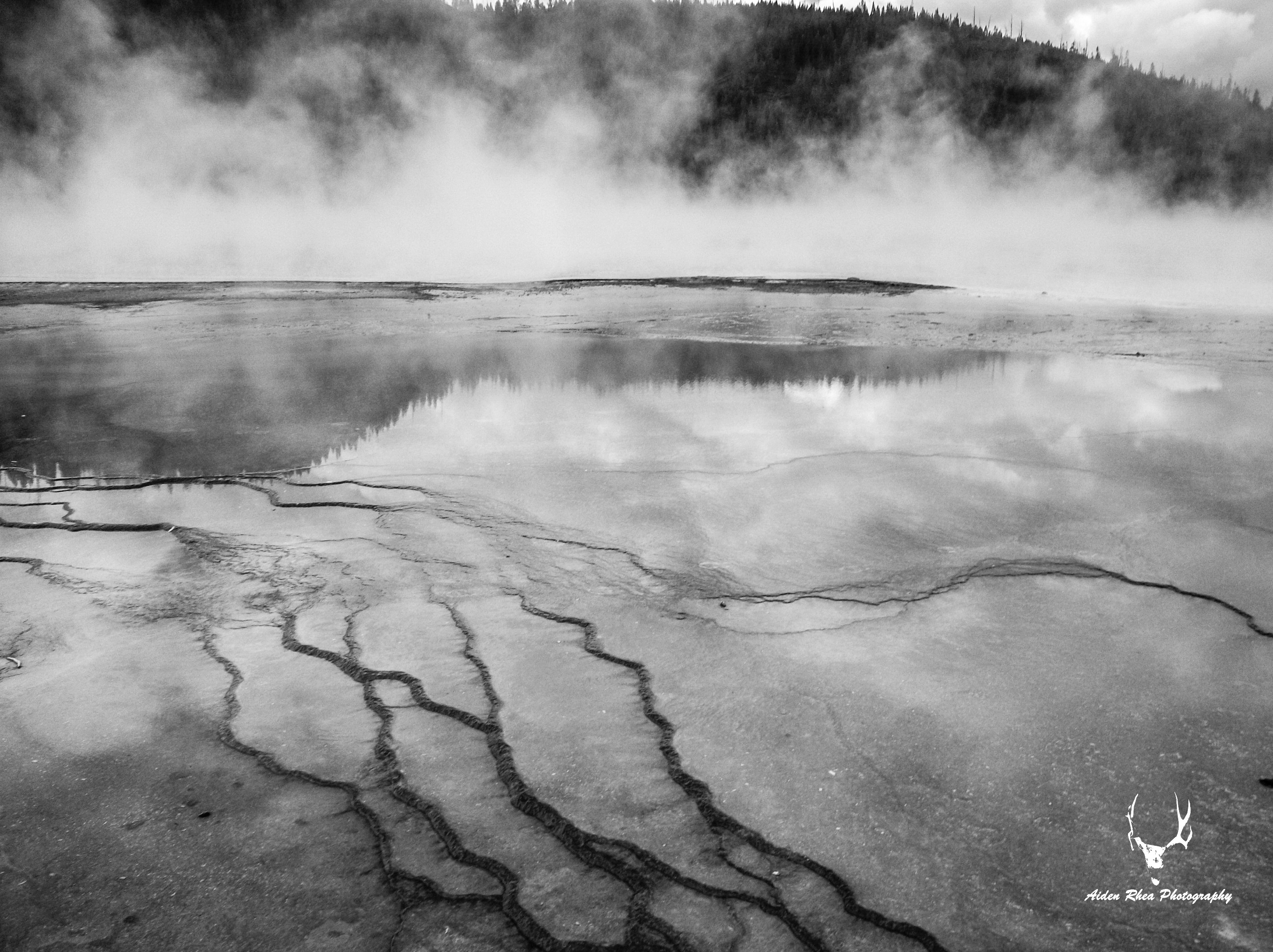 Glass & Steam