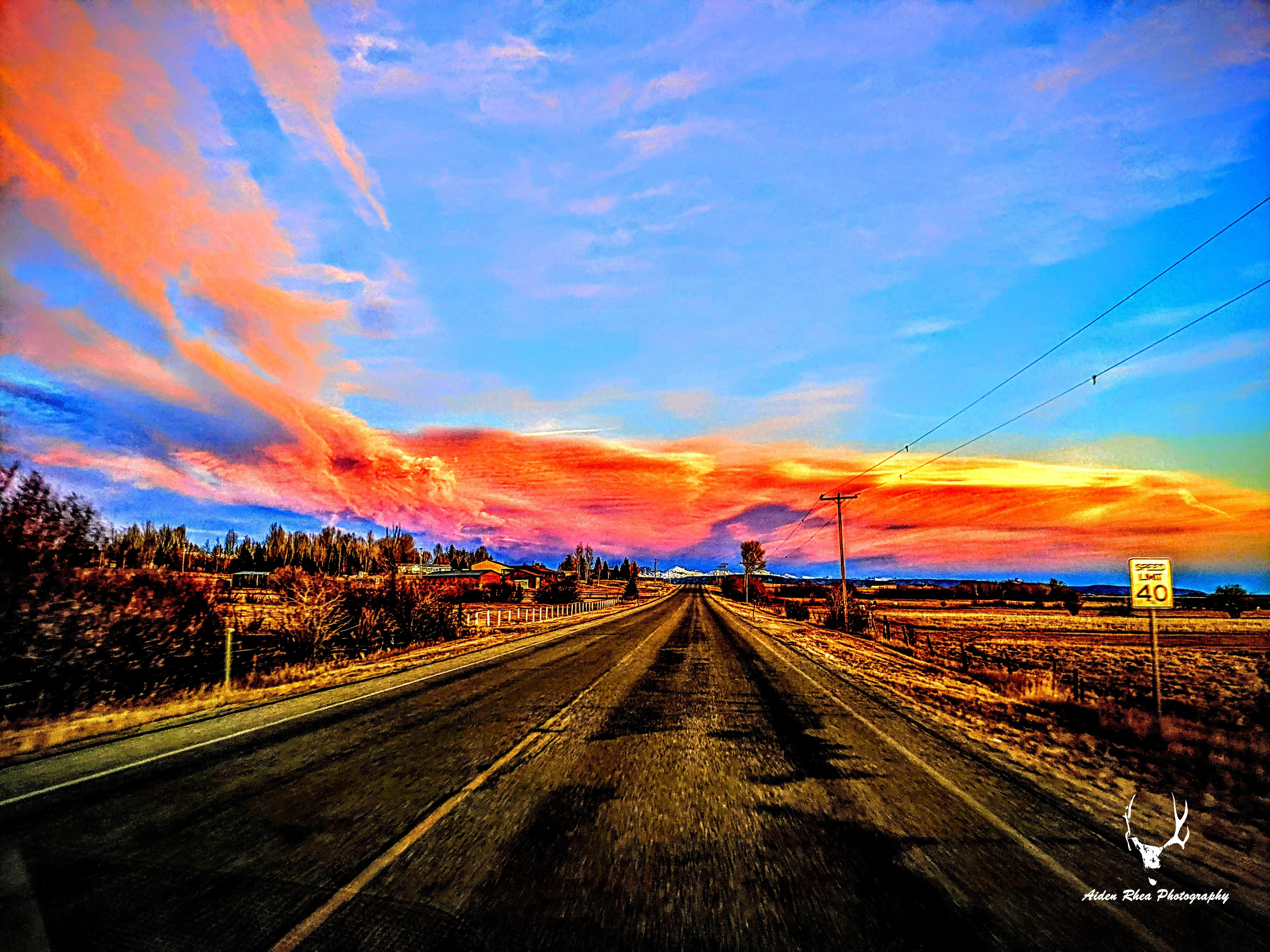 The road home