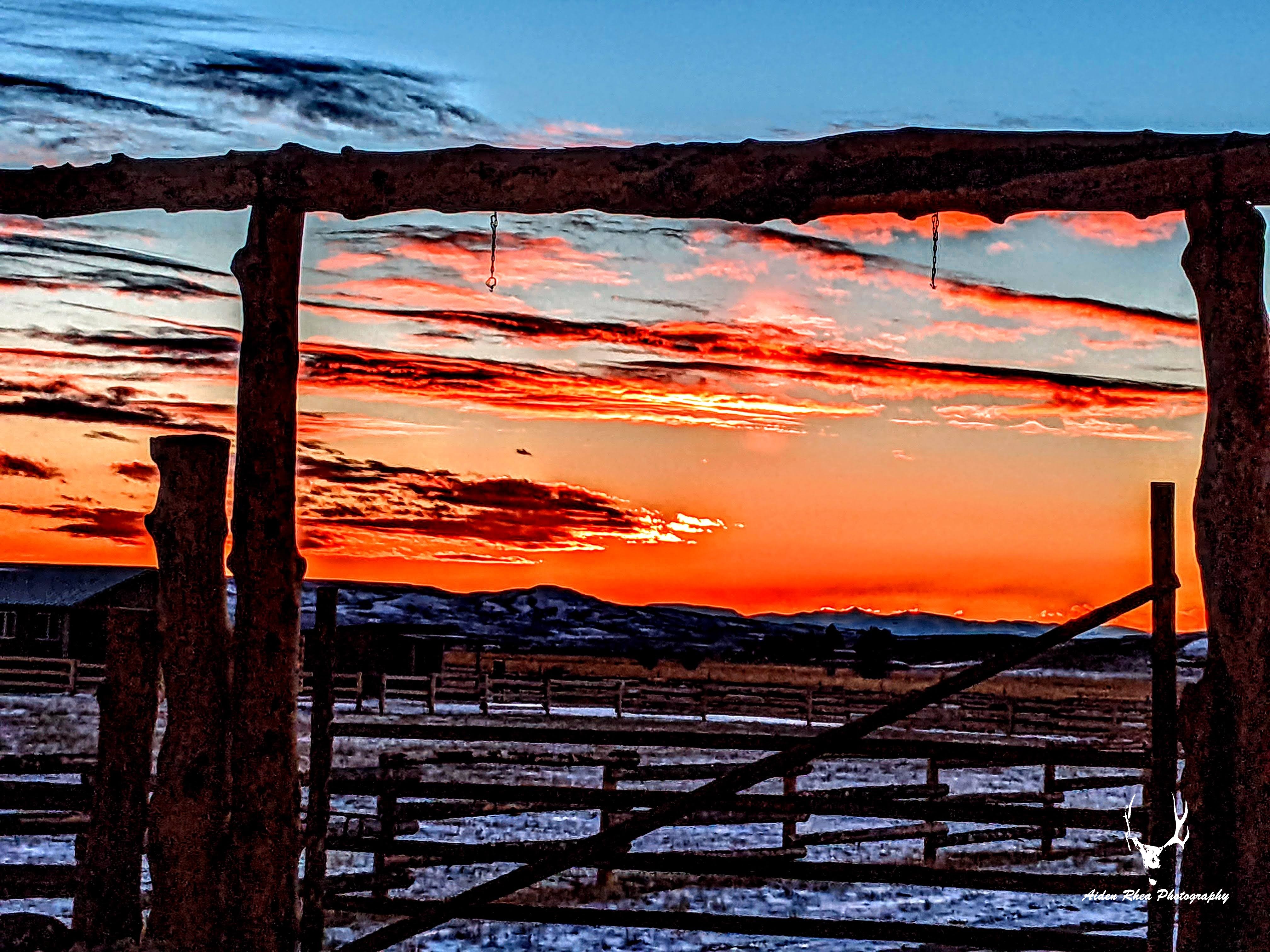 Country gate